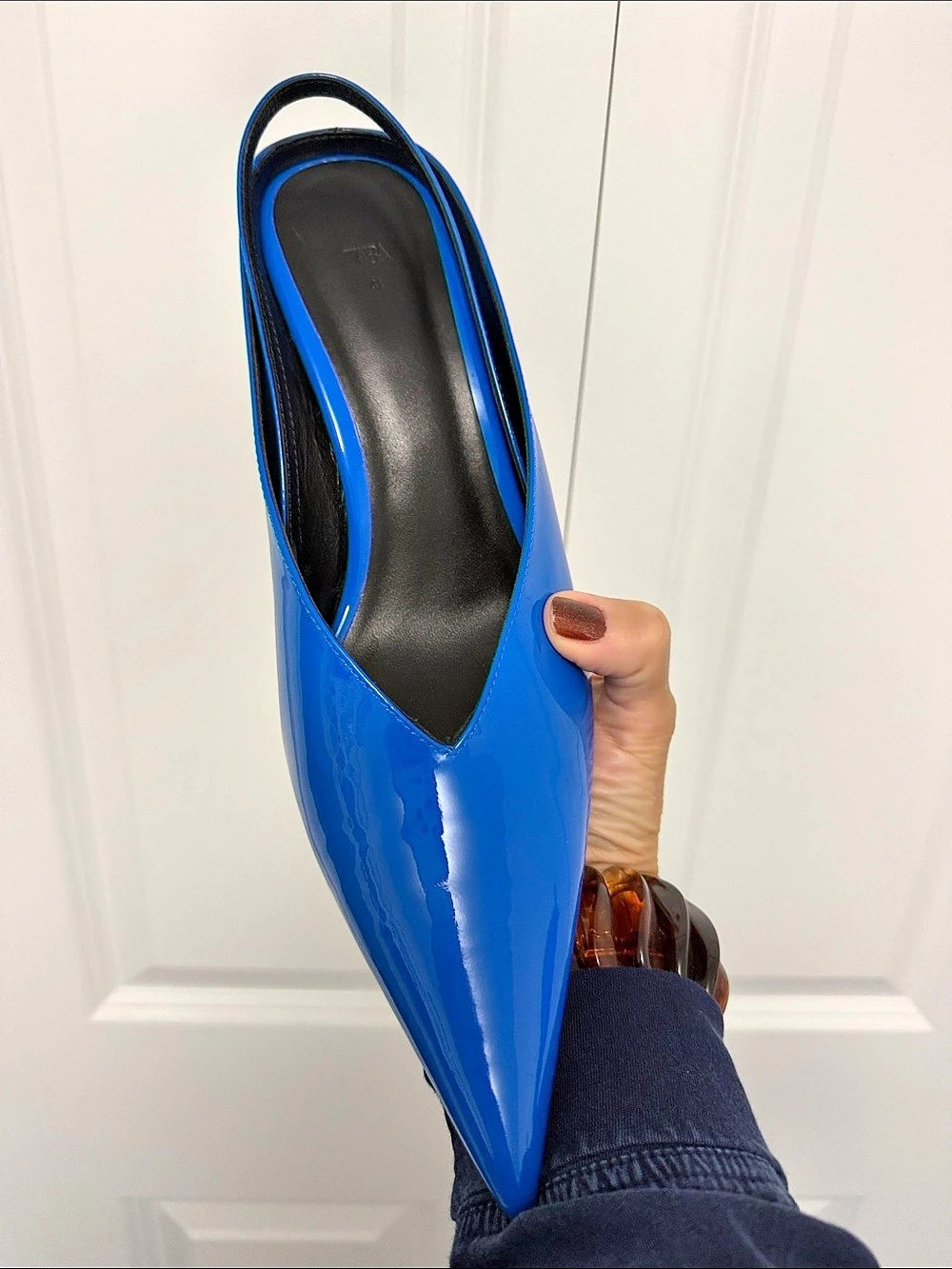 Zara Pointed Toe Wedges in Blue
